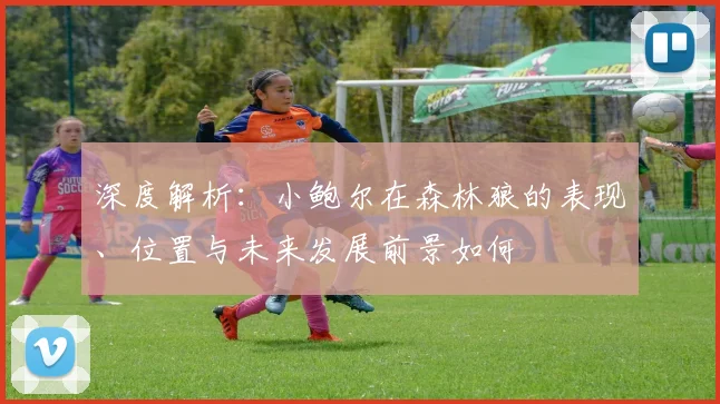 深度解析：小鲍尔在森林狼的表现、位置与未来发展前景如何