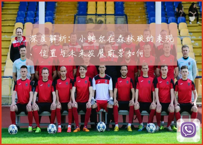 深度解析：小鲍尔在森林狼的表现、位置与未来发展前景如何